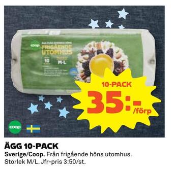 Coop Daglivs Ägg 10-pack erbjuda