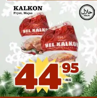 Kalkon