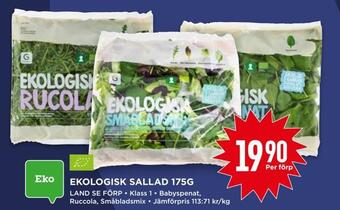 Willys Hemma Ekologisk sallad 175g erbjuda