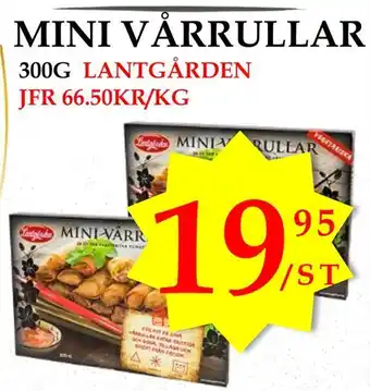 Mini vårrullar
