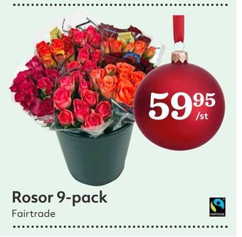 Hemköp Rosor 9-pack erbjuda