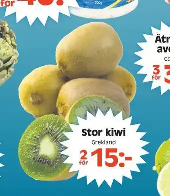 Stor kiwi