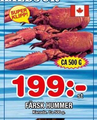 Nya Pulsen Färsk hummer erbjuda