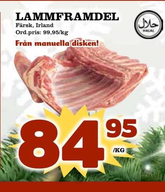 Supergrossen Lammframdel erbjuda