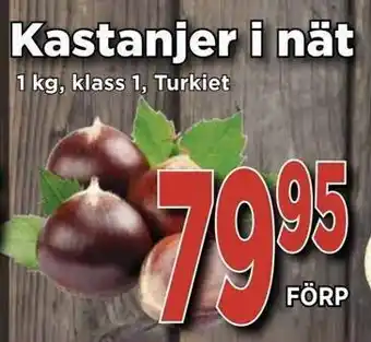 Supergrossen Kastanjer i nät erbjuda