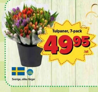 Östenssons Driscolls blommor erbjuda