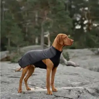 Arken Zoo Feel active oslo fleece grå erbjuda