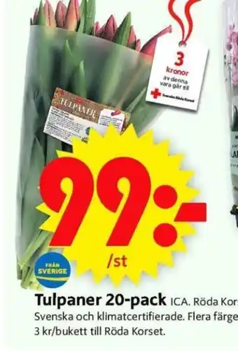 ICA Supermarket Tulpaner 20-Pack erbjuda