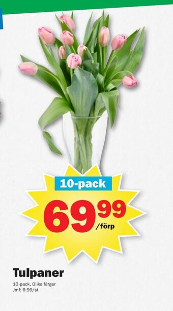 Pekås Tulpaner erbjuda