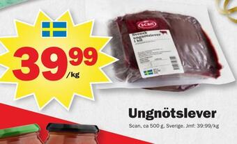 Ungnötslever