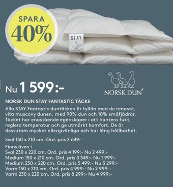 Seng Norsk dun täcke erbjuda