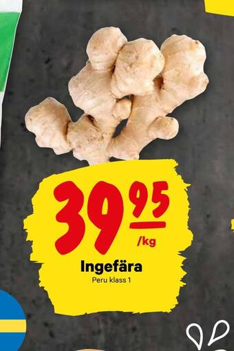 Ingefära