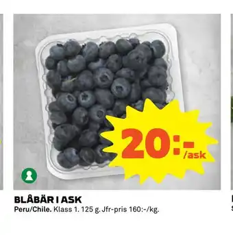 Coop Extra Blåbär i ask erbjuda