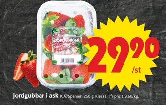ICA Supermarket Jordgubbar i ask erbjuda