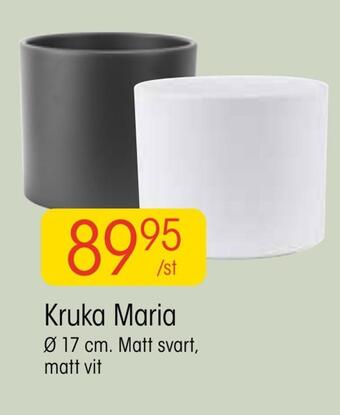 EKO Kruka maria erbjuda