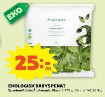 Stora Coop Ekologisk babyspenat erbjuda
