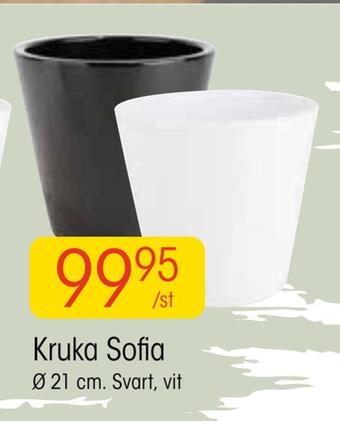 EKO Kruka sofia erbjuda