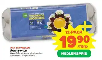Stora Coop Ägg 12-pack erbjuda