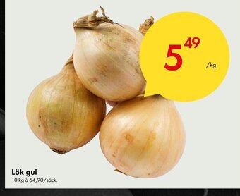 Snabbgross Lök Gul erbjuda