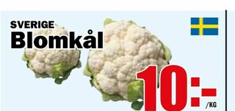 Matdax Blomkål erbjuda