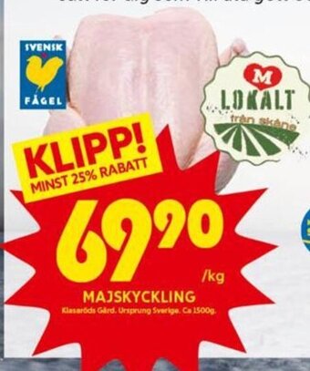 Majskyckling