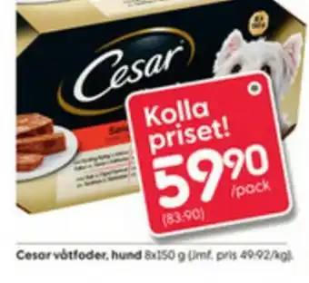 Rusta Cesar Våtfolfer 8x150g erbjuda