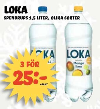 Nelins Loka erbjuda