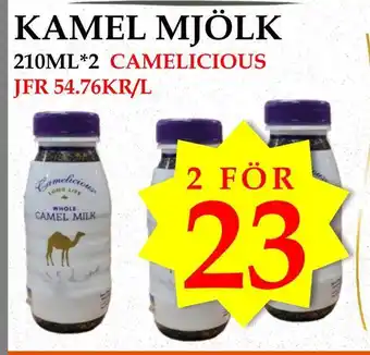 Kamel mjölk