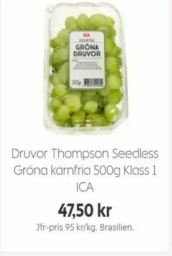 Ica Hajen Lagpris Druvor Thompson Seedless Gröna Kärnfria 500g Klass 1 ICA erbjuda