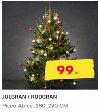 Byggmax Julgran / Rödgran erbjuda