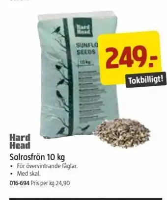 Solrosfrön 10 kg.