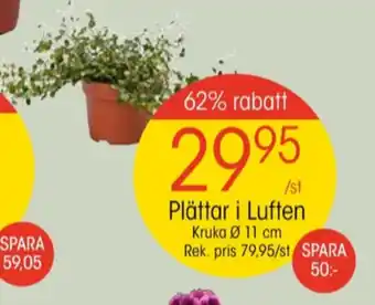 EKO Barnängen plantor erbjuda