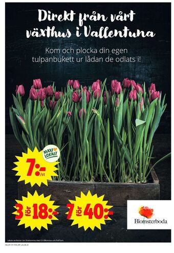 ICA Maxi Blomsterboda blommor erbjuda