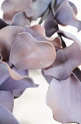 Hemtex Blommor syren erbjuda