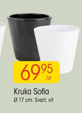 EKO Kruka sofia erbjuda