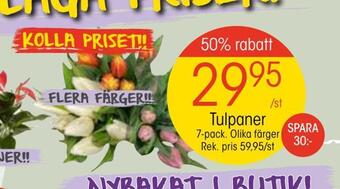 EKO Tulpaner erbjuda