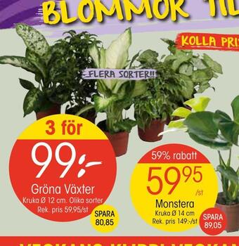 EKO Gröna växter erbjuda