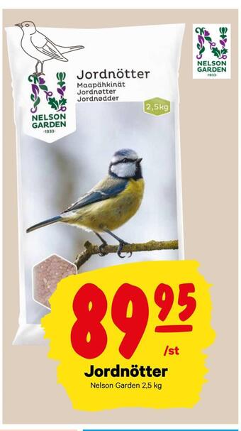 Jordnötter