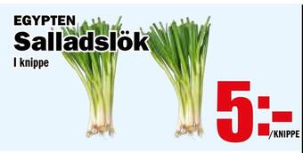 Matdax Salladslök erbjuda