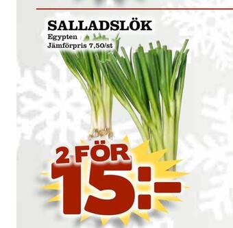 Matvärlden Tensta Salladslök erbjuda