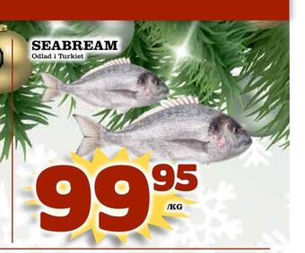 Matvärlden Tensta Seabream erbjuda