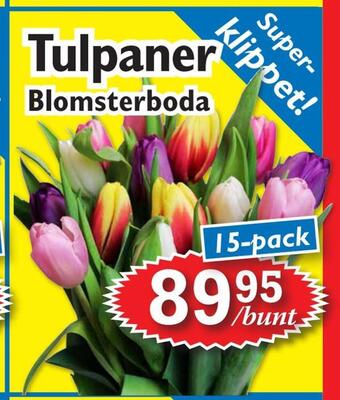 T-jarlen Tulpaner erbjuda