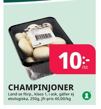 Tempo Champinjoner erbjuda