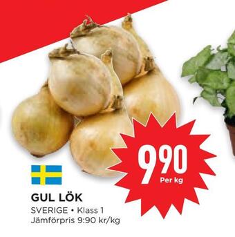 Willys Hemma Gul lök erbjuda
