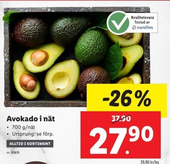 Lidl Avokado I Nät erbjuda