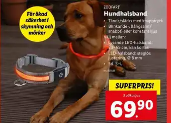 Lidl Zoofari Hundhalsband erbjuda