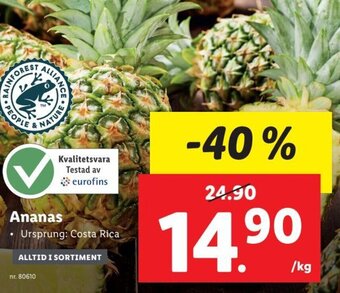 Lidl Ananas erbjuda