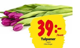 City Gross Tulpaner erbjuda