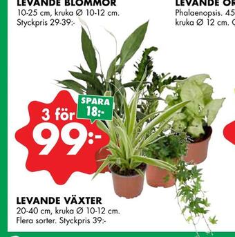 ÖoB Levande växter erbjuda