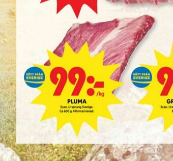 ICA Kvantum Scan Pluma erbjuda